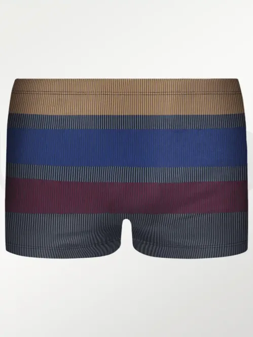 ROPA DE BAÑO PARA NIÑOS ESTAMPADO MINI BOXER KIDS